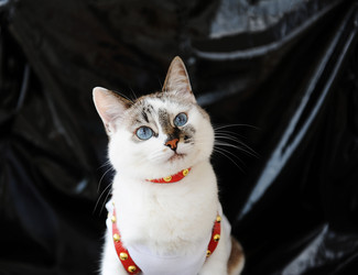 Similar image 21029528