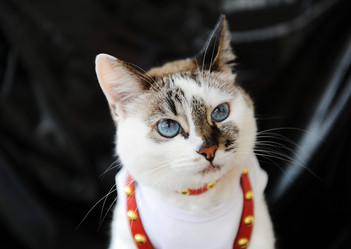 Similar image 21035210