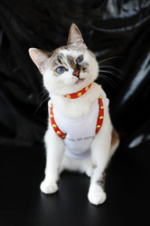 Similar image 21035237