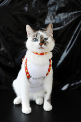 Similar image 21035238