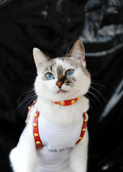 Similar image 21035265