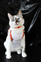 Similar image 21036121