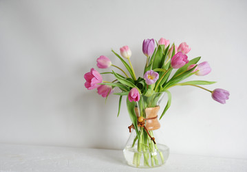 Similar image 21024839