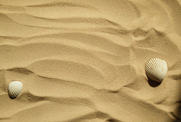 Similar image 21028937