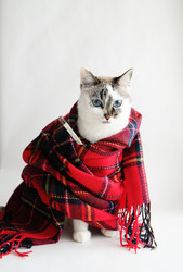 Similar image 21028942