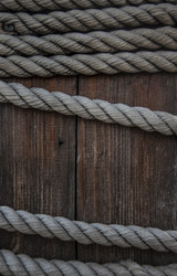 Similar image 21036996