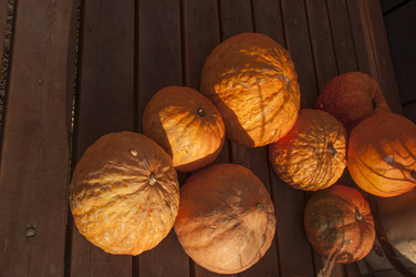 Similar image 21068980