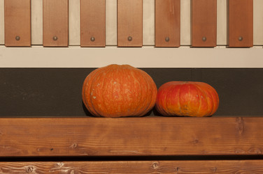 Similar image 21068981