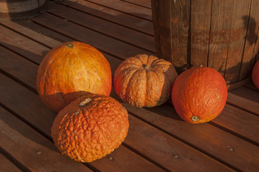 Similar image 21068982