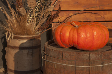 Similar image 21068983