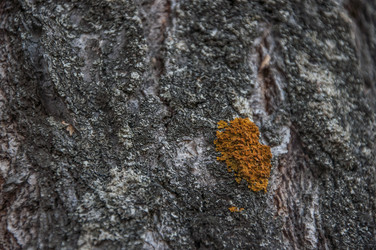 Similar image 21069167