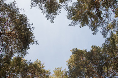 Similar image 21069304