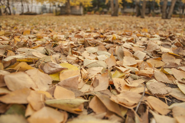 Similar image 21077043