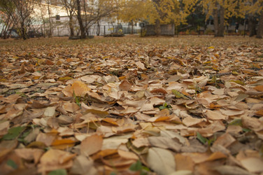 Similar image 21077045