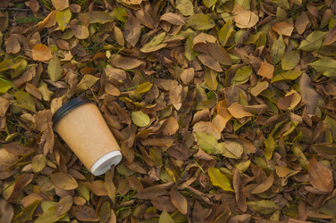 Similar image 21078053