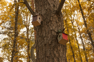 Similar image 21037093