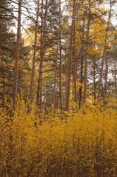 Similar image 21041791