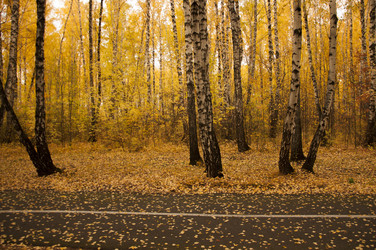 Similar image 21041792