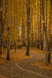 Similar image 21041793