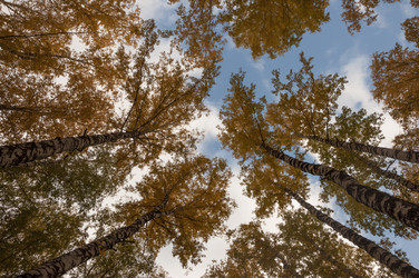 Similar image 21042025