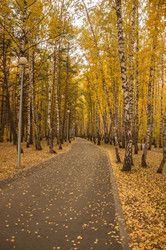 Similar image 21042027