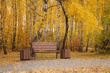 Similar image 21053852