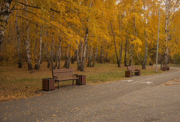 Similar image 21054013