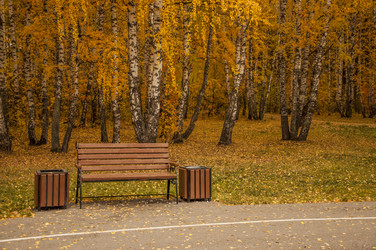 Similar image 21054068