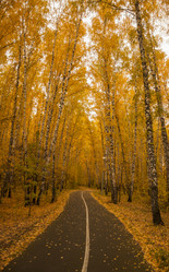 Similar image 21055613