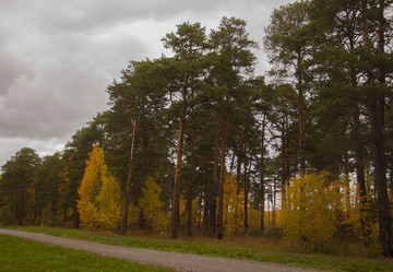 Similar image 21061983