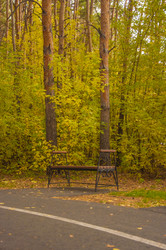 Similar image 21068993