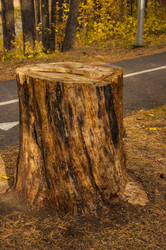 Similar image 21068995