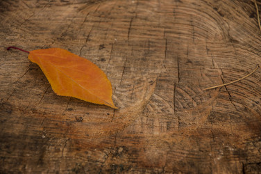 Similar image 21069168