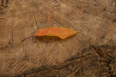 Similar image 21069169