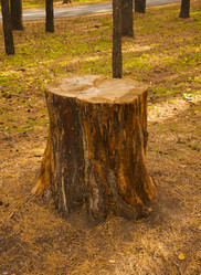 Similar image 21069170