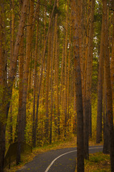 Similar image 21069172