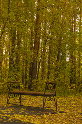 Similar image 21069174