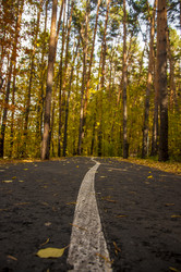 Similar image 21069175