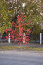 Similar image 21069419