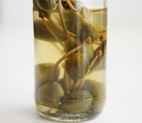 Similar image 21028959