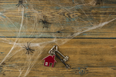 Similar image 21055732