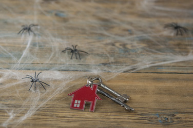 Similar image 21061611