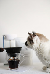 Similar image 21024860