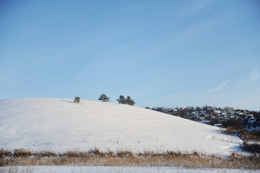 Similar image 21024863