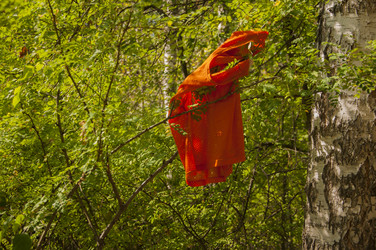 Similar image 21037003