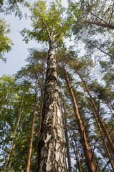 Similar image 21037004