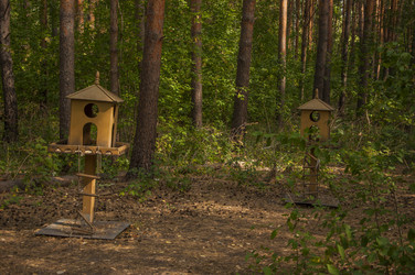 Similar image 21037006