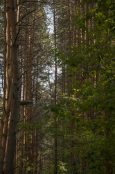 Similar image 21037096