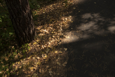 Similar image 21037097