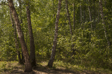 Similar image 21037098